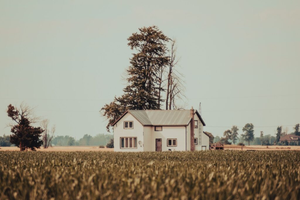 an old, abandoned house stands alone in a field of tall grass